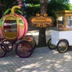 Patlamış mısır arabaları en şık modeller resim