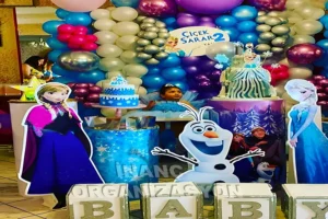 Dogum Gunu Organizasyonlari