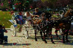 Fayton Kiralama Ucretleri