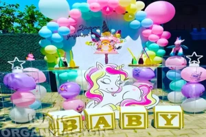 Parti Sepeti Dogum Gunu