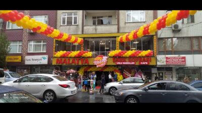 Acilis Organizasyonlari